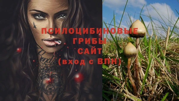 первитин Горно-Алтайск
