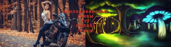 первитин Горняк
