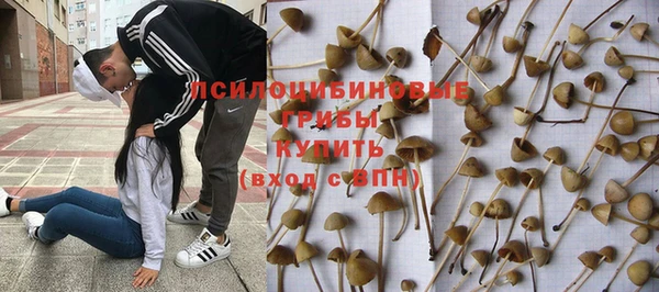 хмурый Горнозаводск