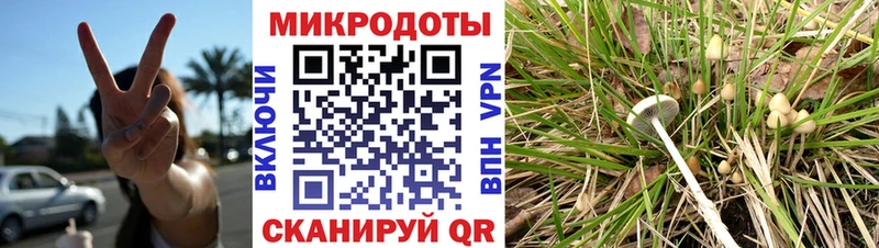 Купить где  Карпинск  Галлюциногенные грибы Magic Shrooms 