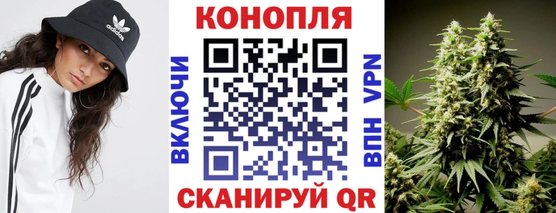 Конопля MAZAR Карпинск